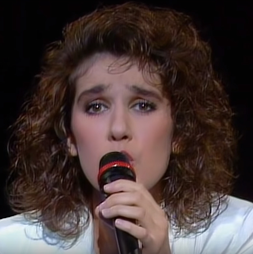 After the Eurovision Fame 1988 Switzerland Eurovision Song Contest.